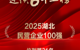 以“保险+科技”“保险+服务”作答！泰康在线第六次上榜湖北民企百强